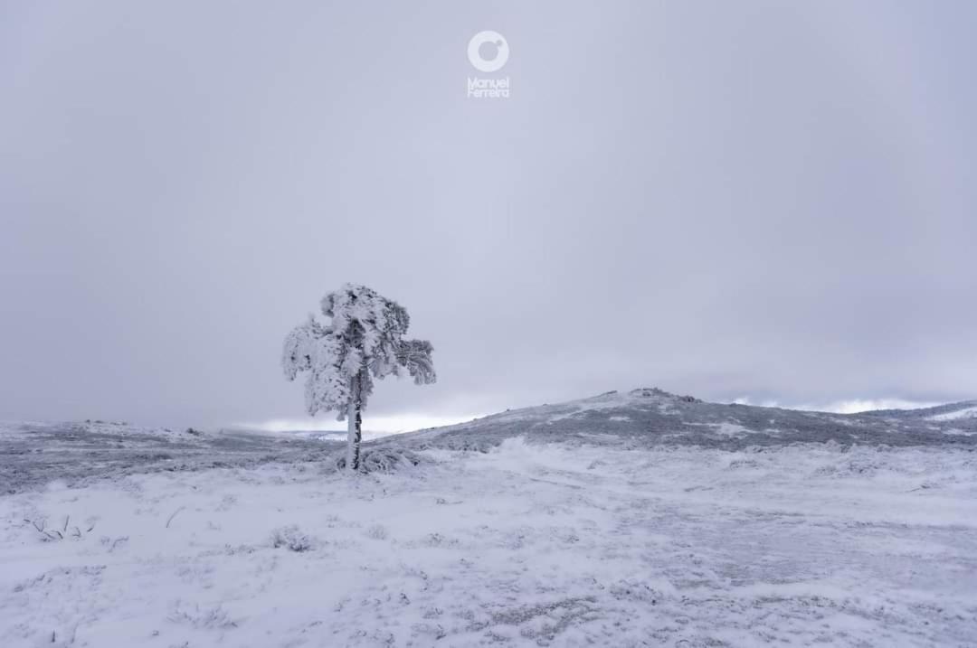 O Salgueiro Lägenhet Melo Exteriör bild